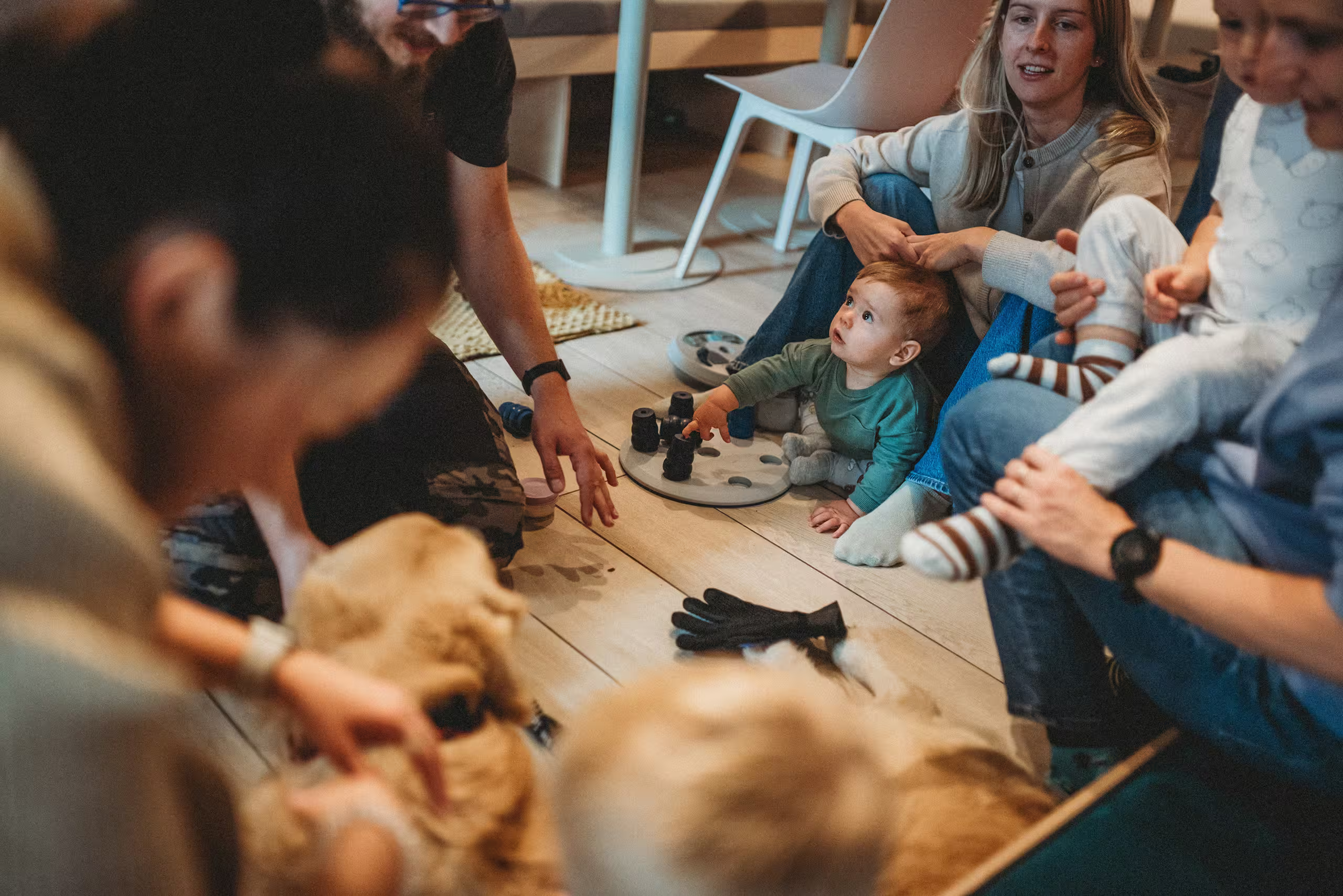 Zajęcia z dogoterapi 1